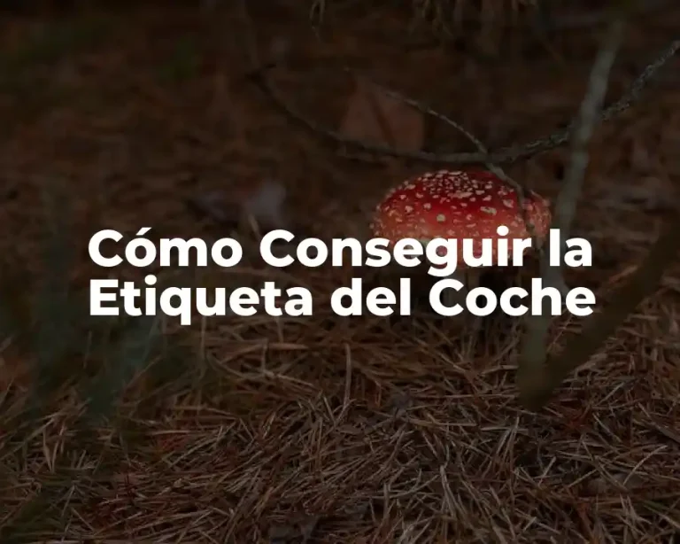 Cómo Conseguir la Etiqueta del Coche
