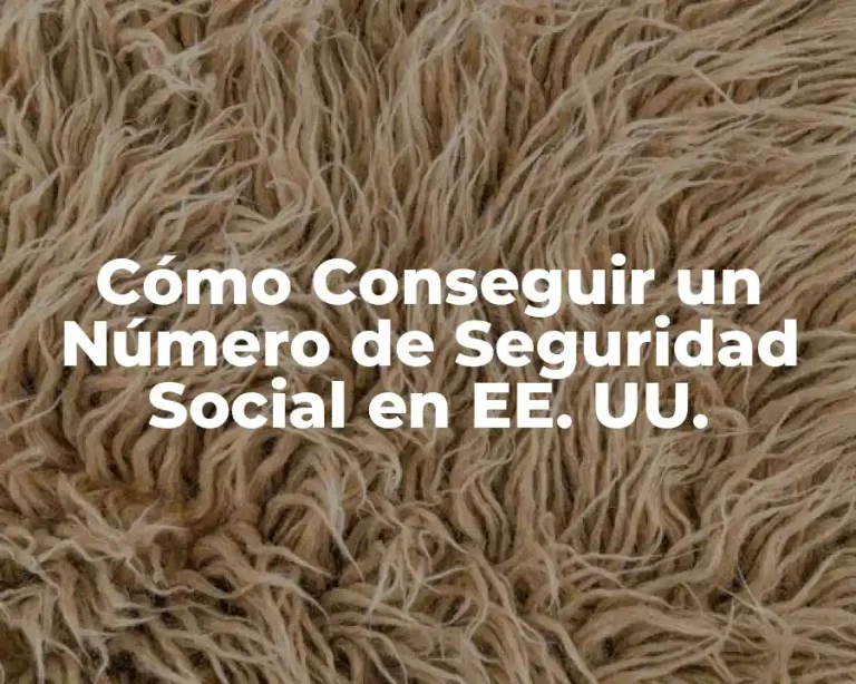 Cómo Conseguir un Número de Seguridad Social en EE. UU.