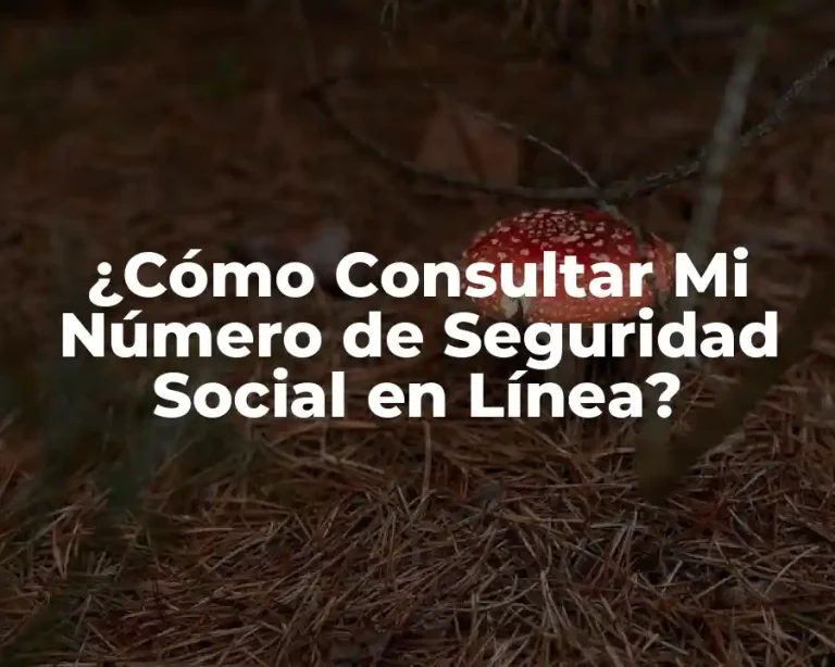 ¿Cómo Consultar Mi Número de Seguridad Social en Línea?