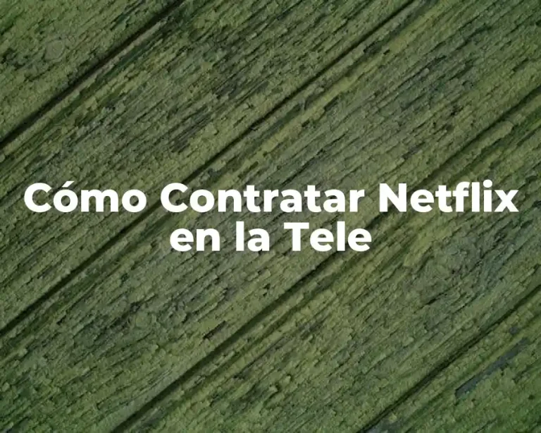 Cómo Contratar Netflix en la Tele