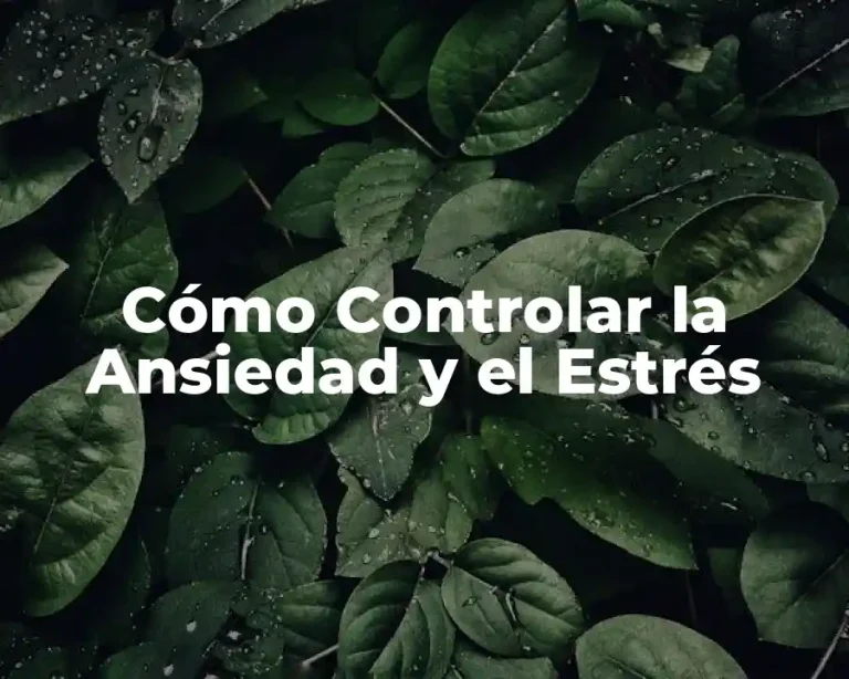 Cómo Controlar la Ansiedad y el Estrés