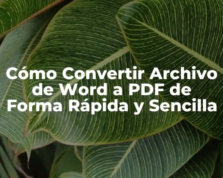 Cómo Convertir Archivo de Word a PDF de Forma Rápida y Sencilla