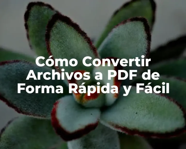 Cómo Convertir Archivos a PDF de Forma Rápida y Fácil