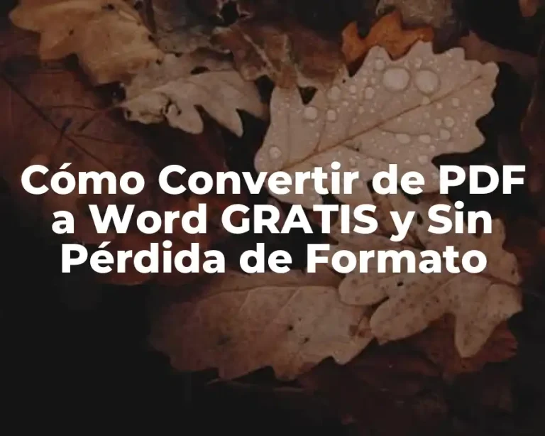 Cómo Convertir de PDF a Word GRATIS y Sin Pérdida de Formato