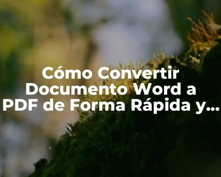 Cómo Convertir Documento Word a PDF de Forma Rápida y Fácil