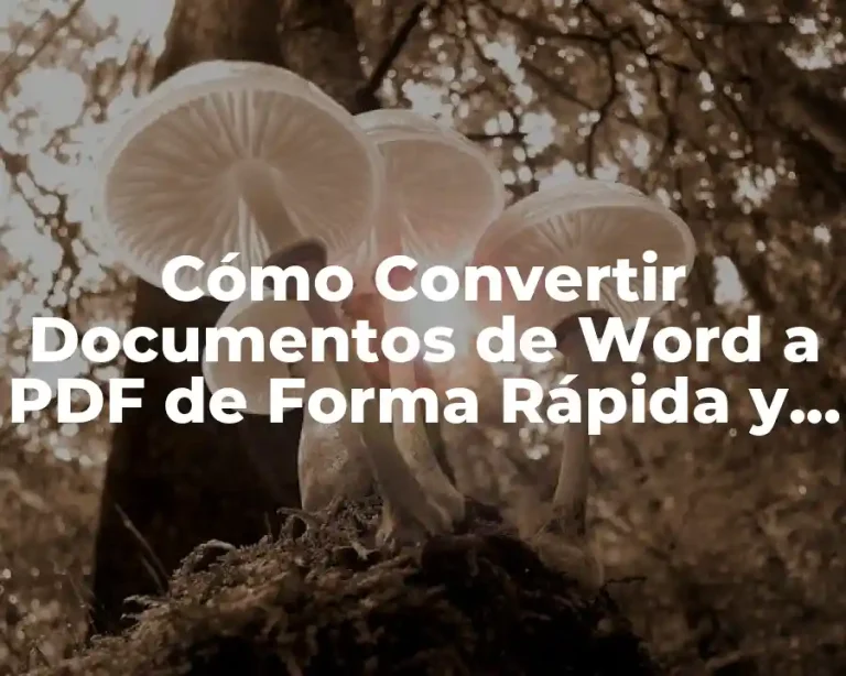 Cómo Convertir Documentos de Word a PDF de Forma Rápida y Fácil