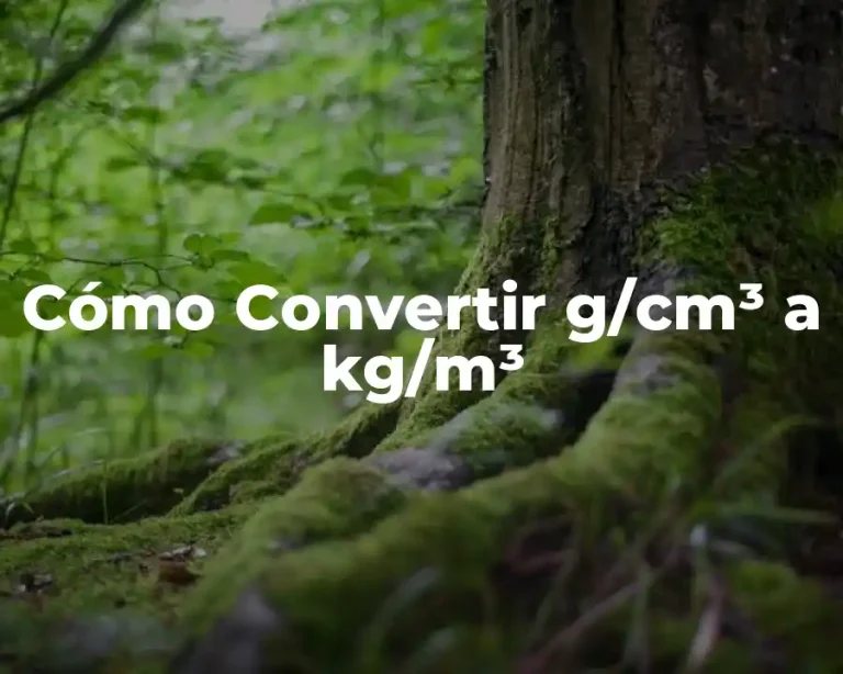 Cómo Convertir g/cm³ a kg/m³
