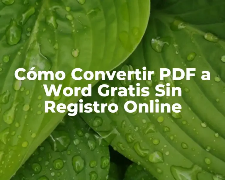 Cómo Convertir PDF a Word Gratis Sin Registro Online