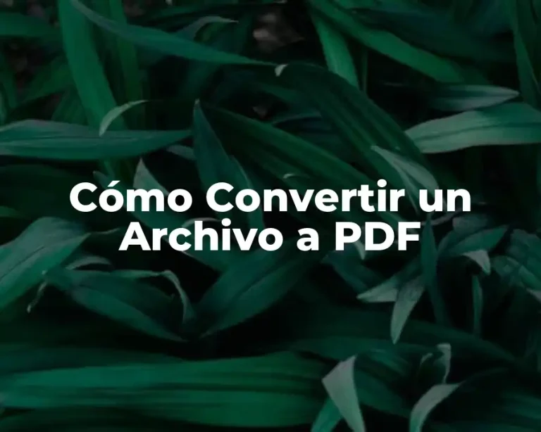 Cómo Convertir un Archivo a PDF