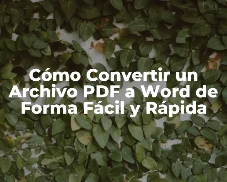 Cómo Convertir un Archivo PDF a Word de Forma Fácil y Rápida