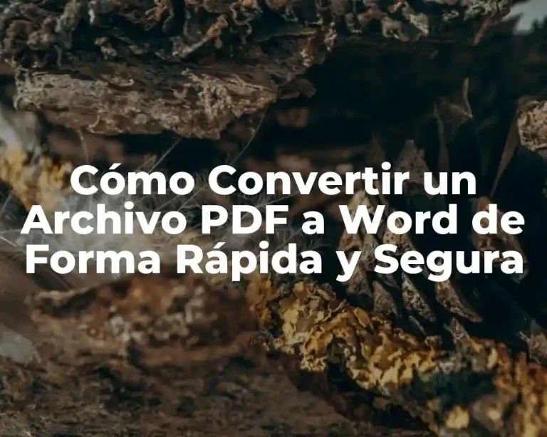 Cómo Convertir un Archivo PDF a Word de Forma Rápida y Segura