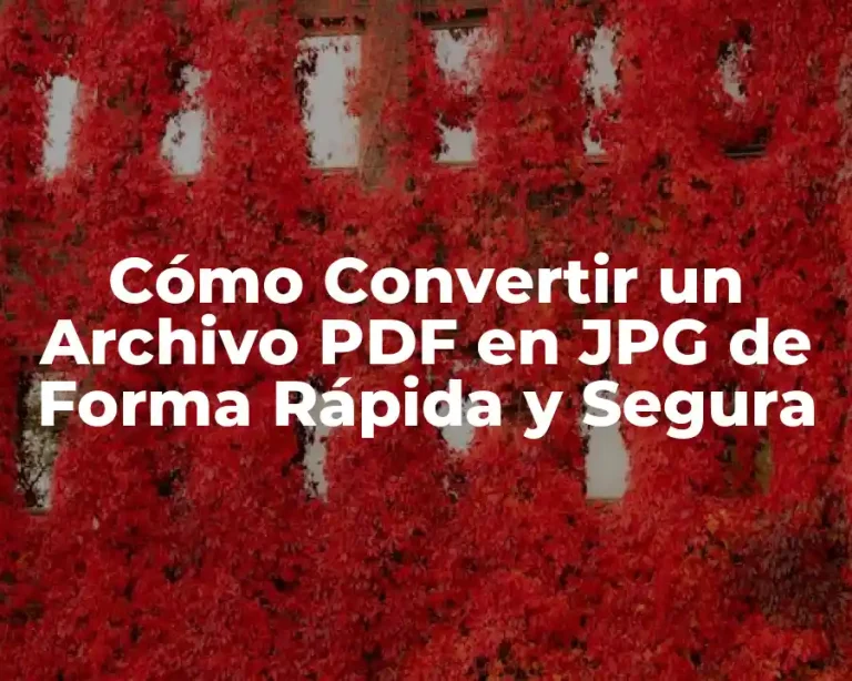 Cómo Convertir un Archivo PDF en JPG de Forma Rápida y Segura