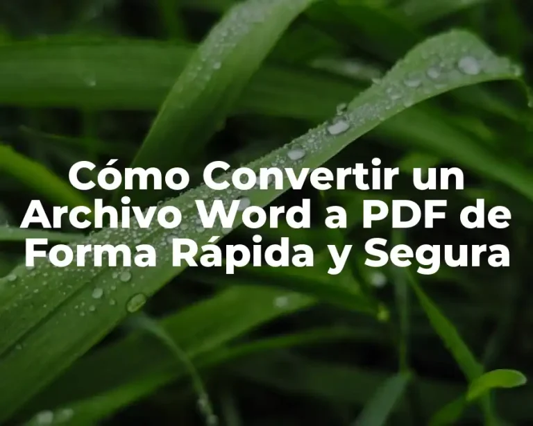Cómo Convertir un Archivo Word a PDF de Forma Rápida y Segura