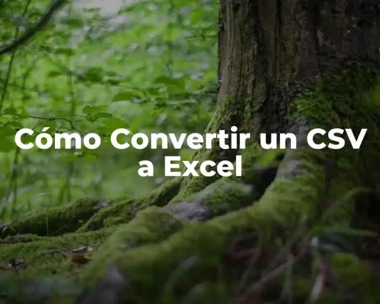 Cómo Convertir un CSV a Excel
