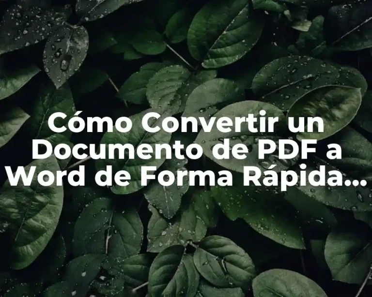 Cómo Convertir un Documento de PDF a Word de Forma Rápida y Segura