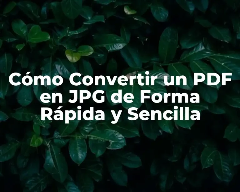 Cómo Convertir un PDF en JPG de Forma Rápida y Sencilla
