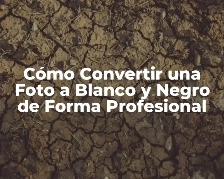 Cómo Convertir una Foto a Blanco y Negro de Forma Profesional