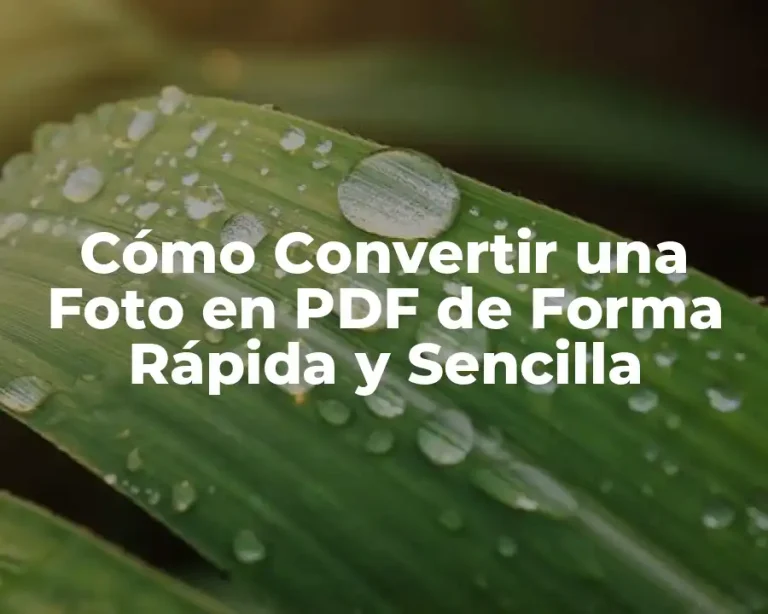 Cómo Convertir una Foto en PDF de Forma Rápida y Sencilla