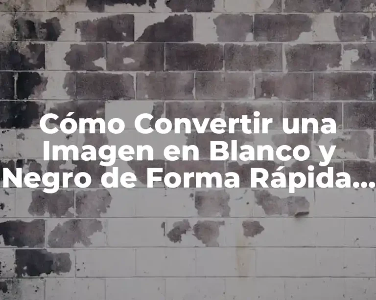Cómo Convertir una Imagen en Blanco y Negro de Forma Rápida y Fácil