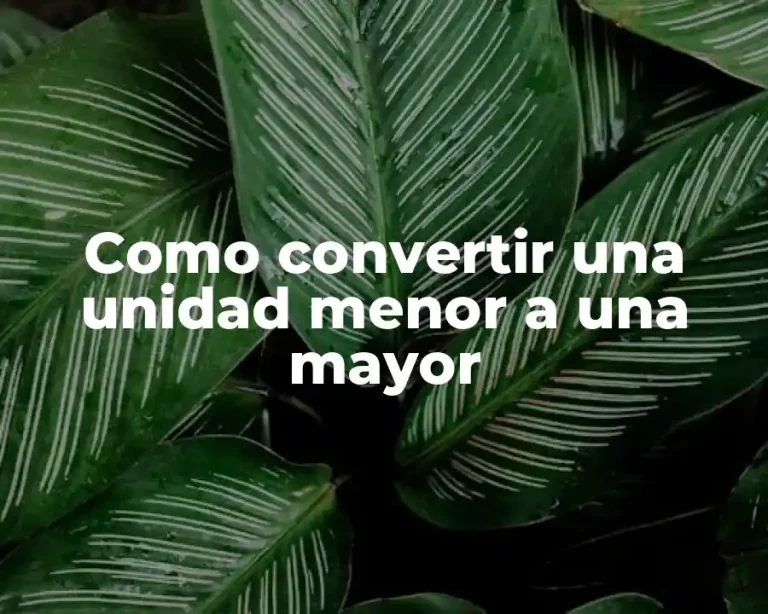 Como convertir una unidad menor a una mayor