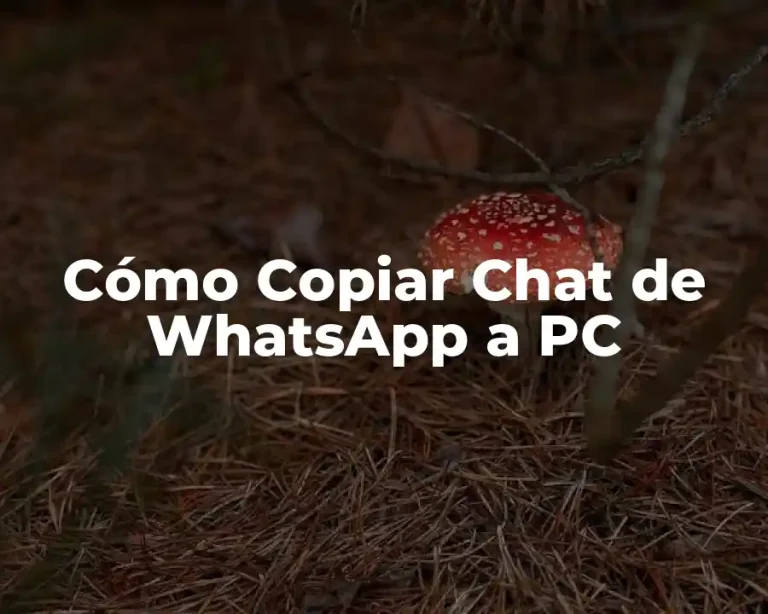 Cómo Copiar Chat de WhatsApp a PC