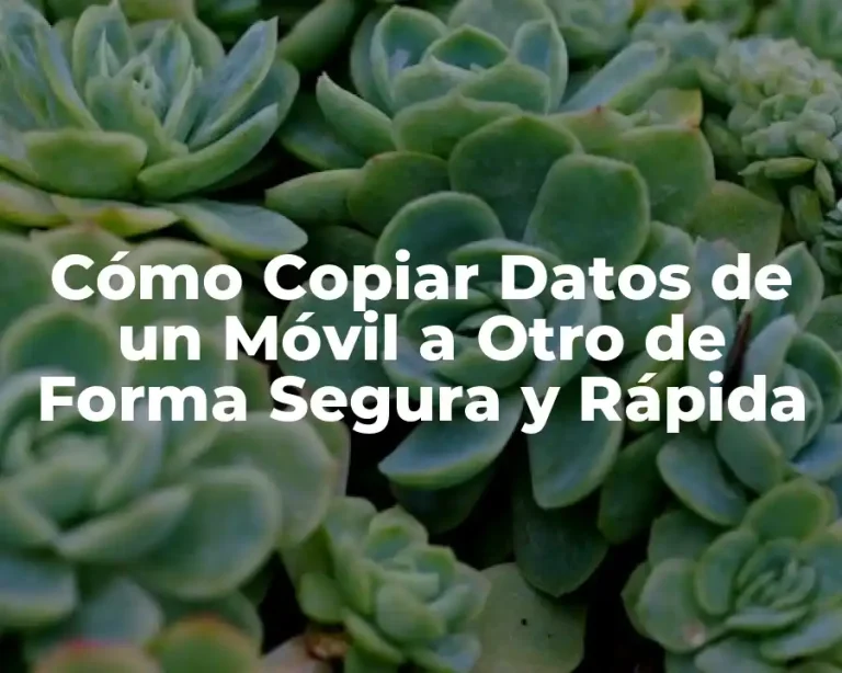 Cómo Copiar Datos de un Móvil a Otro de Forma Segura y Rápida