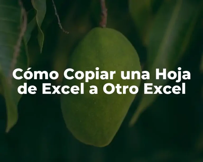 Cómo Copiar una Hoja de Excel a Otro Excel