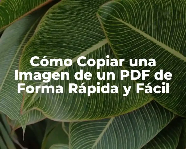 Cómo Copiar una Imagen de un PDF de Forma Rápida y Fácil