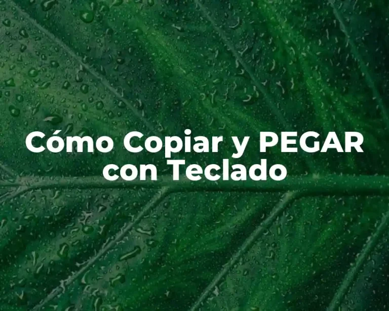 Cómo Copiar y PEGAR con Teclado