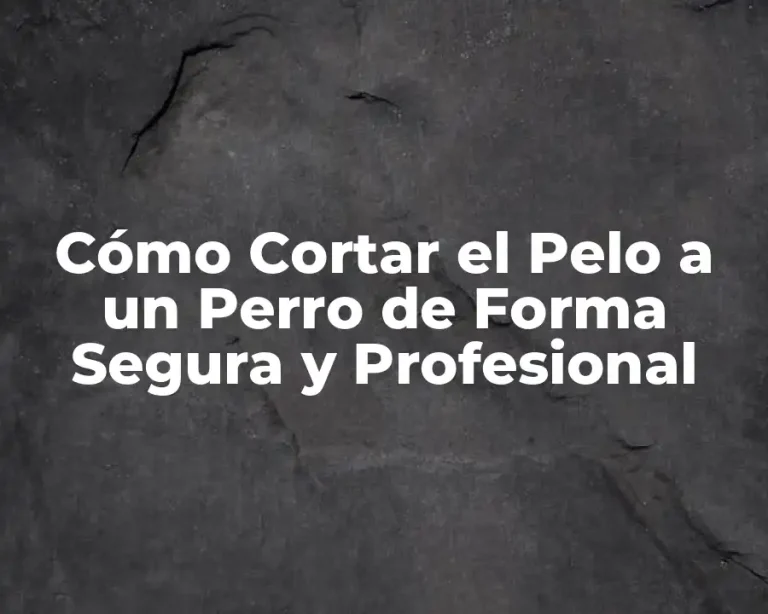 Cómo Cortar el Pelo a un Perro de Forma Segura y Profesional