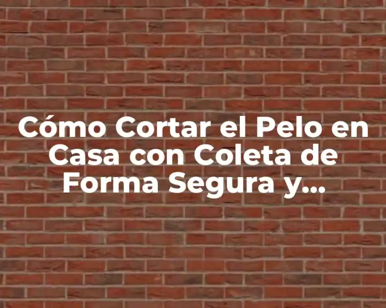 Cómo Cortar el Pelo en Casa con Coleta de Forma Segura y Profesional
