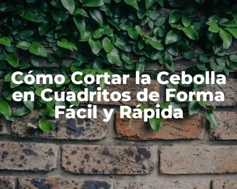 Cómo Cortar la Cebolla en Cuadritos de Forma Fácil y Rápida