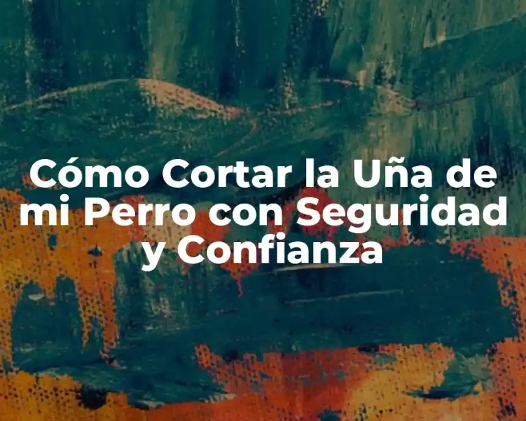 Cómo Cortar la Uña de mi Perro con Seguridad y Confianza