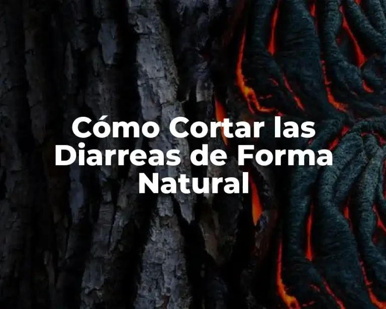 Cómo Cortar las Diarreas de Forma Natural