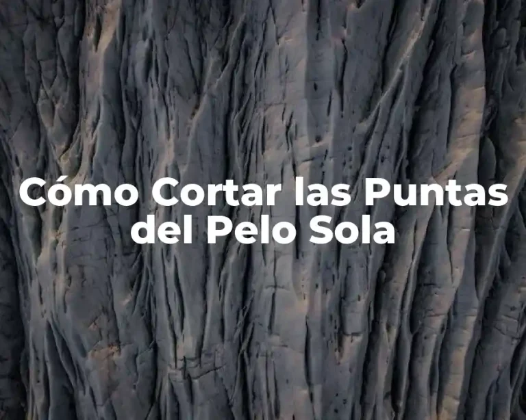 Cómo Cortar las Puntas del Pelo Sola