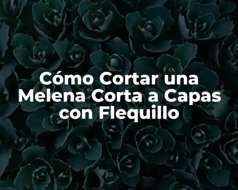Cómo Cortar una Melena Corta a Capas con Flequillo