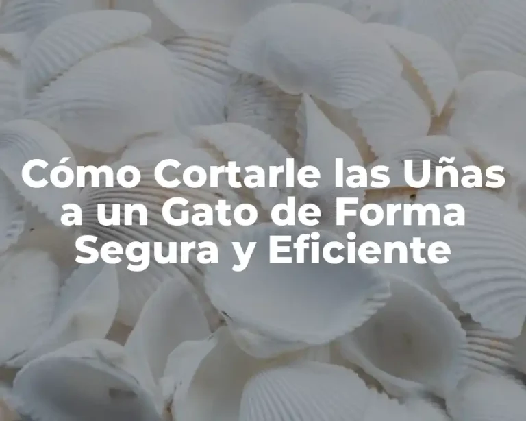Cómo Cortarle las Uñas a un Gato de Forma Segura y Eficiente