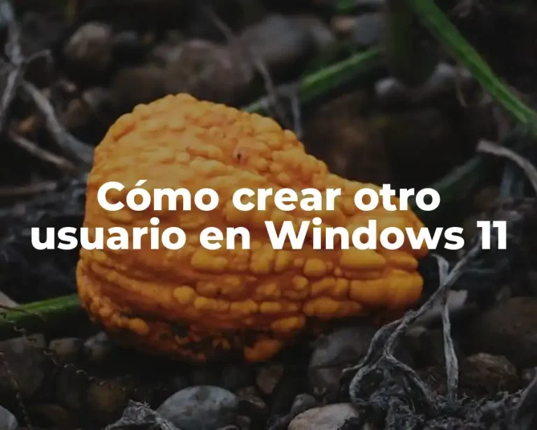 Cómo crear otro usuario en Windows 11