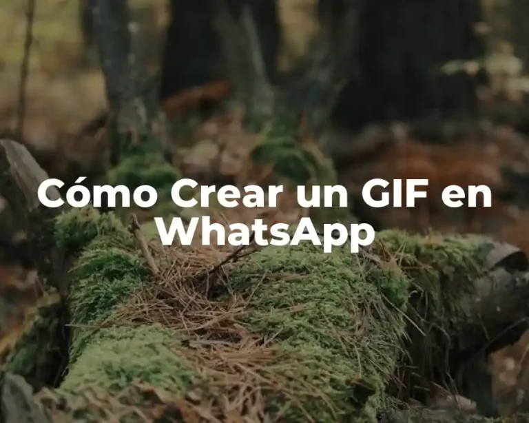 Cómo Crear un GIF en WhatsApp