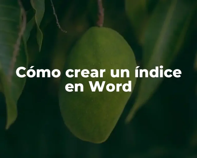 Cómo crear un índice en Word
