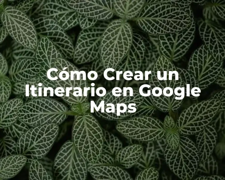 Cómo Crear un Itinerario en Google Maps