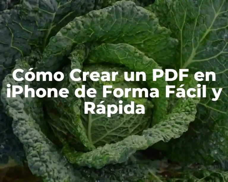 Cómo Crear un PDF en iPhone de Forma Fácil y Rápida