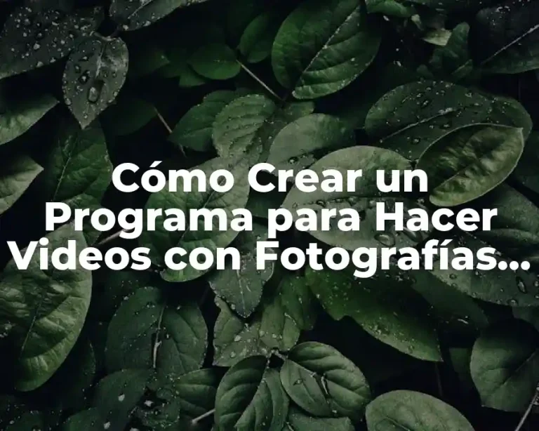 Cómo Crear un Programa para Hacer Videos con Fotografías y Música