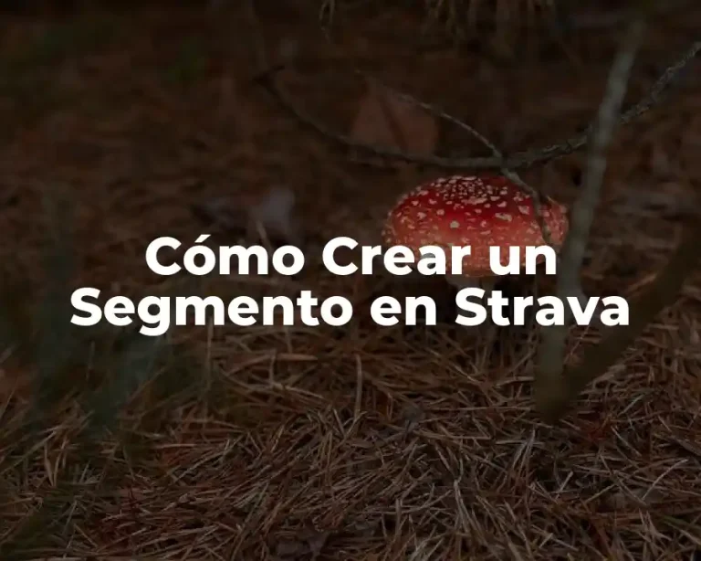 Cómo Crear un Segmento en Strava