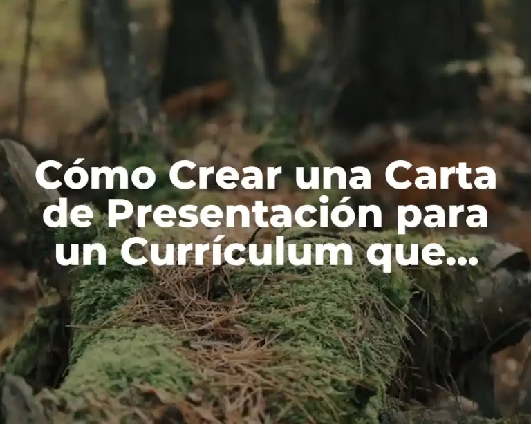 Cómo Crear una Carta de Presentación para un Currículum que Destaque