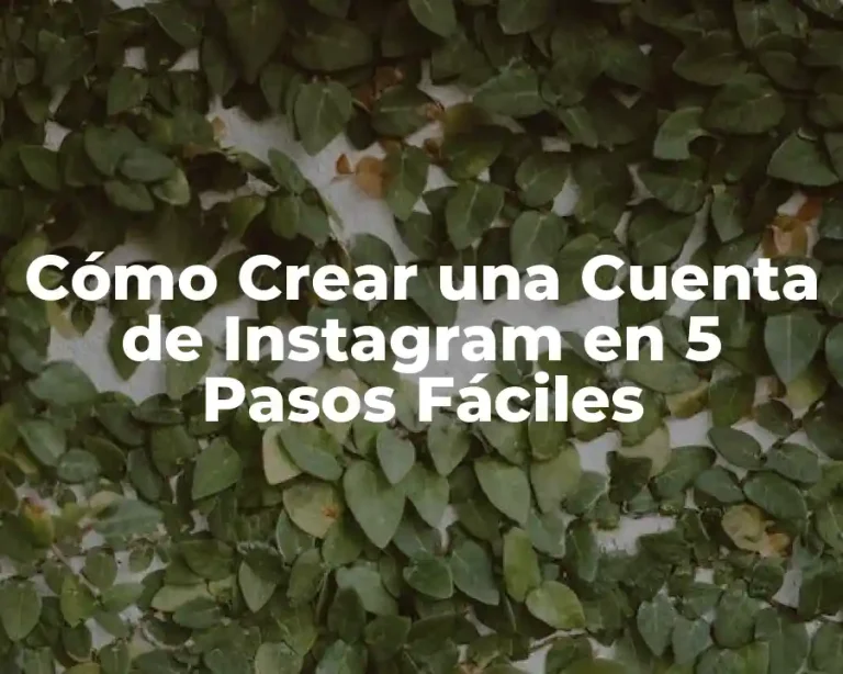 Cómo Crear una Cuenta de Instagram en 5 Pasos Fáciles