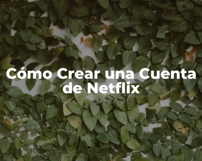 Cómo Crear una Cuenta de Netflix