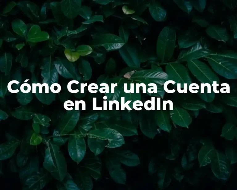 Cómo Crear una Cuenta en LinkedIn