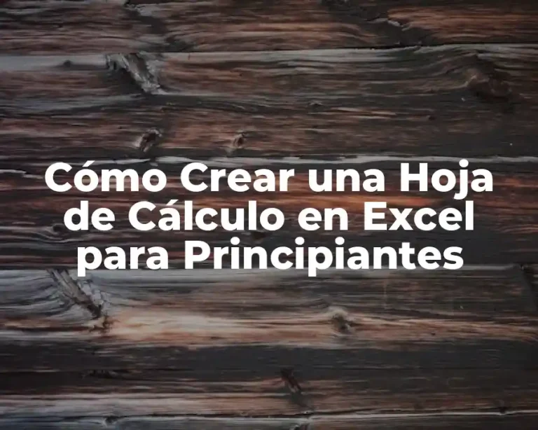Cómo Crear una Hoja de Cálculo en Excel para Principiantes