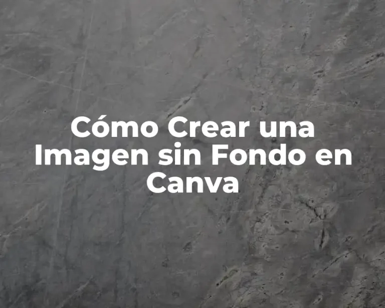 Cómo Crear una Imagen sin Fondo en Canva